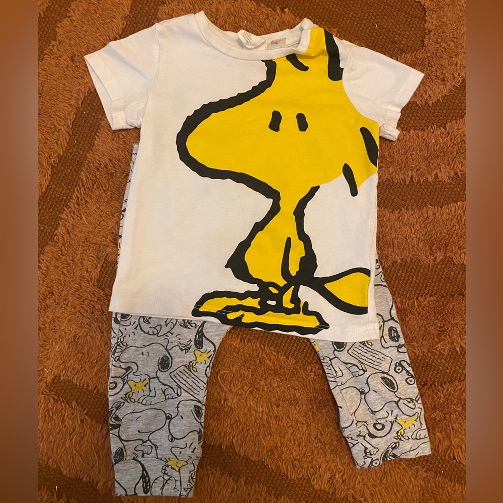 Peanuts- Woodstock/ Charlie Brown set